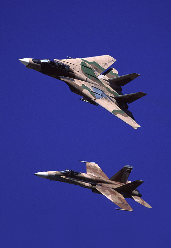 Top Gun F-14 and F/A-18